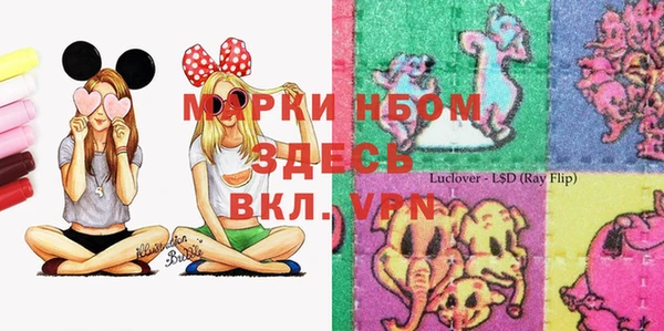 apvp Дмитров