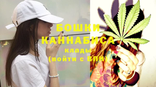 ПСИЛОЦИБИНОВЫЕ ГРИБЫ Дмитровск