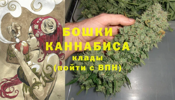 ПСИЛОЦИБИНОВЫЕ ГРИБЫ Дмитровск